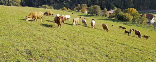 Besuch Biohof