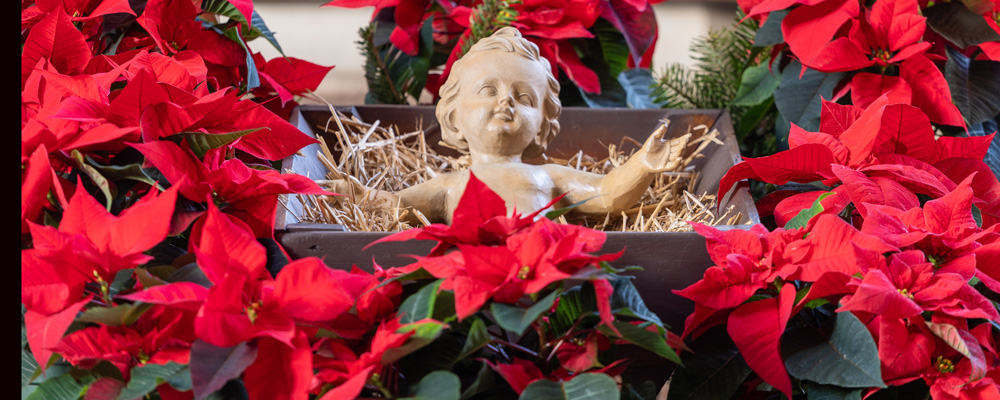 Du betrachtest gerade Christmetten